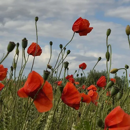 Appartement Fiete Biendorf